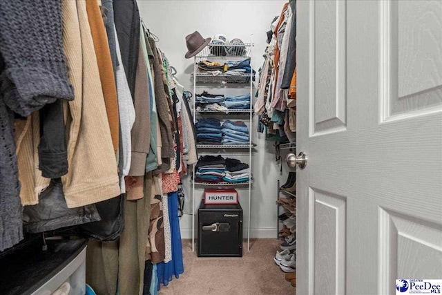 3471 Sweetgrass Dr, Florence, SC 29501 - walk in closet featuring carpet floors
