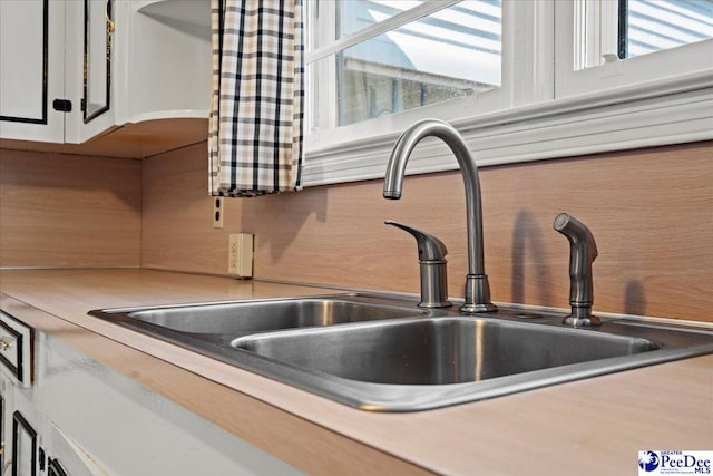 details featuring white cabinetry and a sink