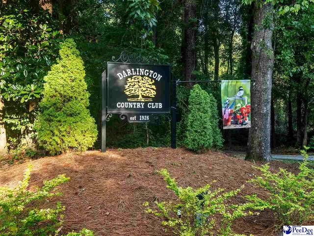 TBD Green Dr, Darlington, SC 29532 - photo 1