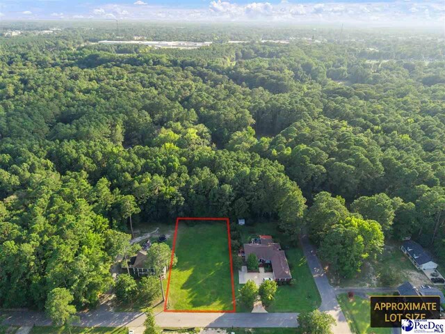 TBD Green Dr, Darlington, SC 29532 - photo 5