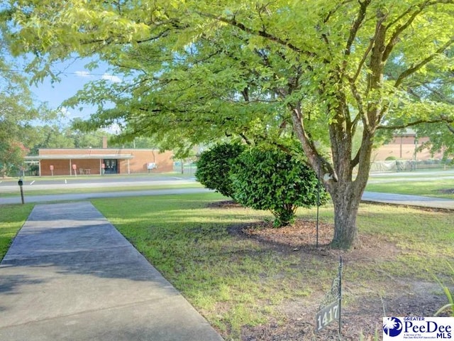 1417 Woods Rd, Florence, SC 29501 - view of yard