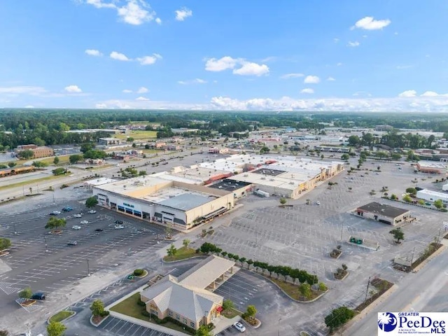 1417 Woods Rd, Florence, SC 29501 - bird's eye view