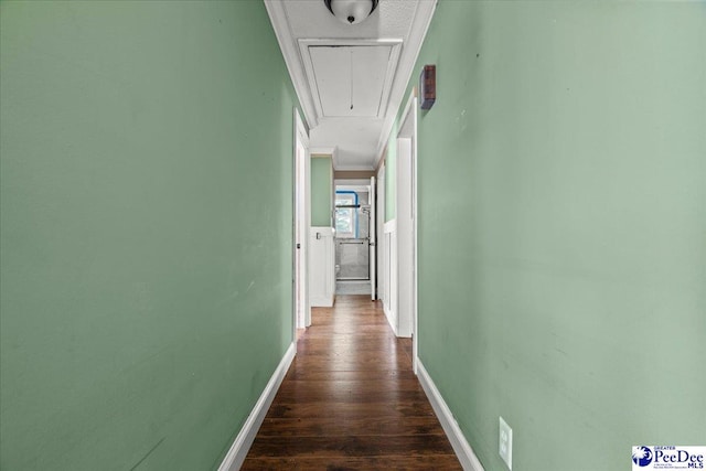 3712 E Hoyt St, Florence, SC 29506 - corridor featuring attic access, dark wood-type flooring, and crown molding