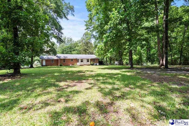 3712 E Hoyt St, Florence, SC 29506 - view of green lawn