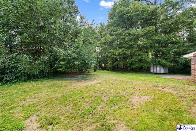 1505 E Mciver Rd, Florence, SC 29501 - photo 25