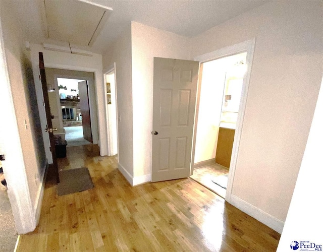 1175 Berkley Ave, Florence, SC 29505 - photo 20