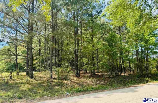 385 Elbert Baskins Rd, Cheraw, SC 29520