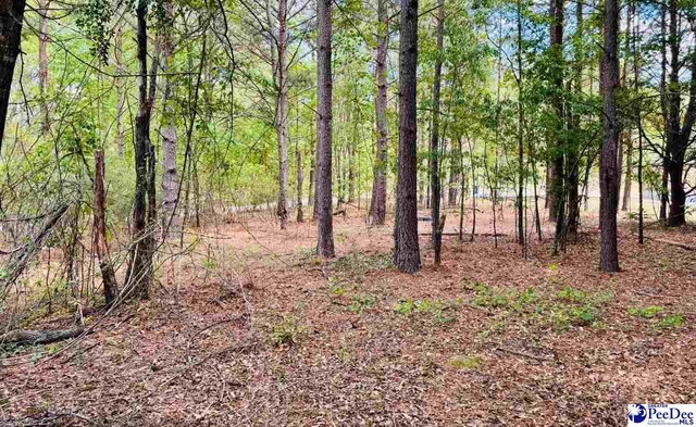 385 Elbert Baskins Rd, Cheraw, SC 29520