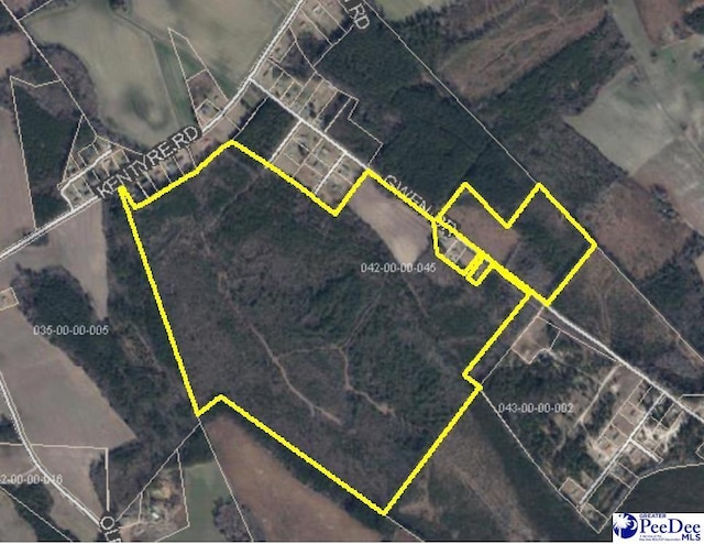 TBD Gwen Dr, Dillon SC, 29536 land for sale