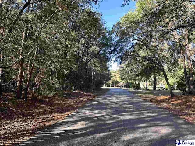 3912 Byrnes Blvd, Florence SC, 29506 land for sale