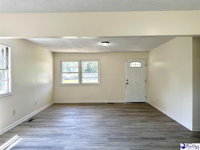 entrance foyer with hardwood / wood-style floors, plenty of natural light, and a textured ceiling