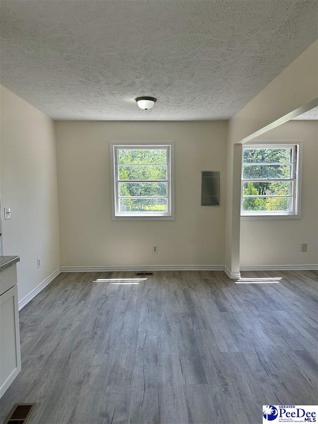 interior space featuring a healthy amount of sunlight, a textured ceiling, and light hardwood / wood-style floors