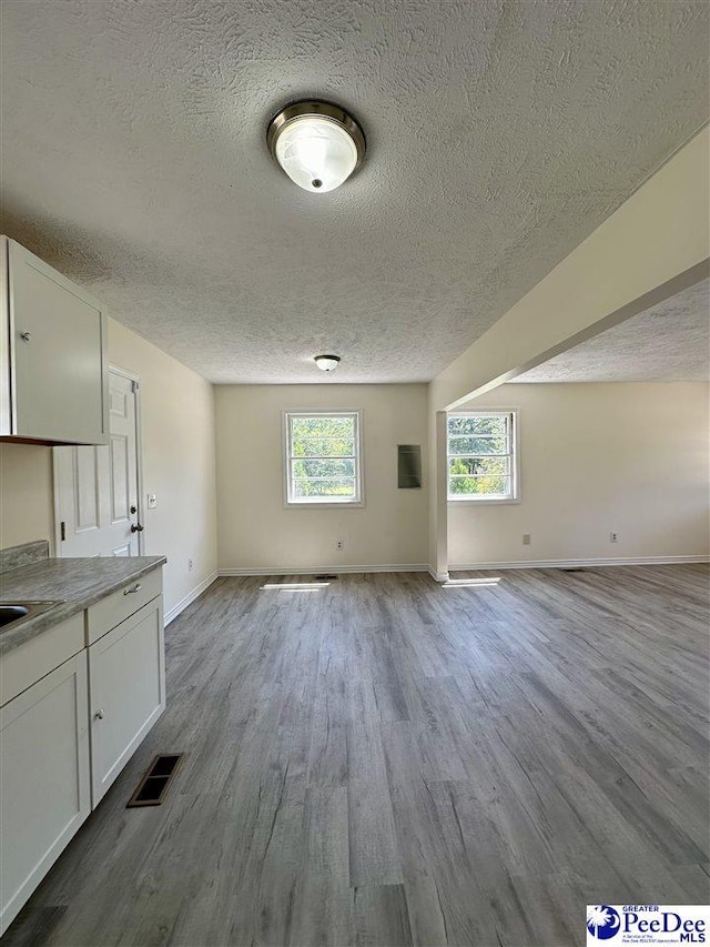 unfurnished living room with a wealth of natural light, light hardwood / wood-style floors, and a textured ceiling