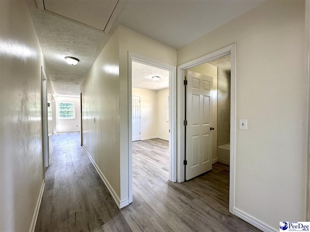 corridor featuring hardwood / wood-style flooring and a textured ceiling