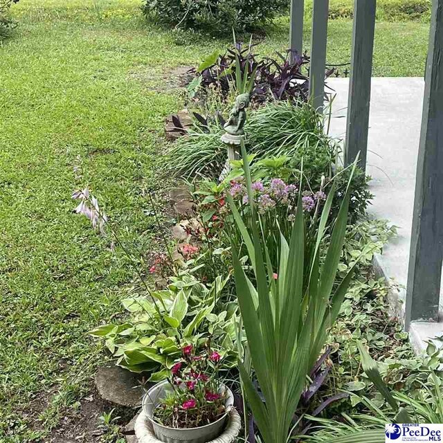 1141 Bethel Rd, Latta, SC 29565 - photo 27