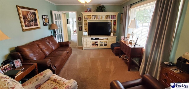 carpeted living room with crown molding