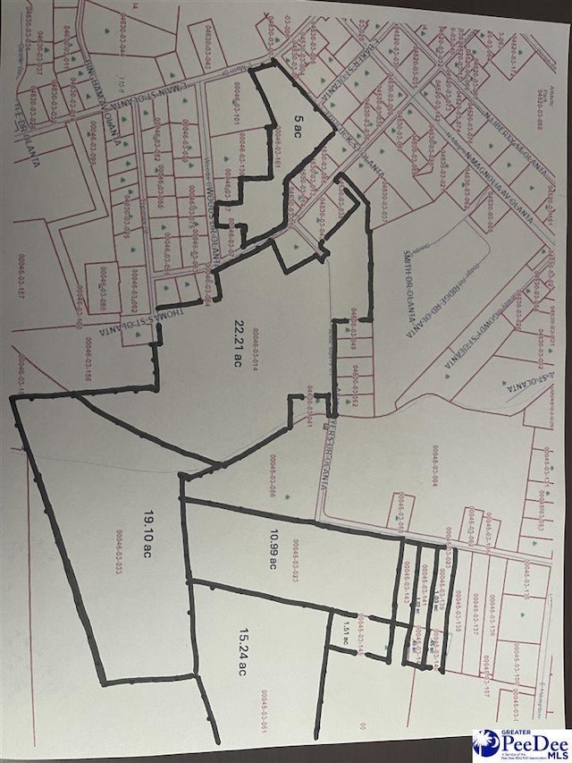 TBD Alice Myers Road, Olanta SC, 29114 land for sale