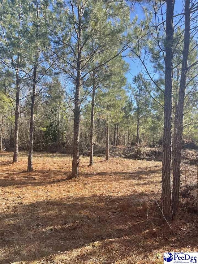 TBD Alice Myers Road, Olanta, SC 29114 - photo 16