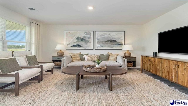 593 Strawberry Field Way, Galivants Ferry, SC 29544 - view of living area