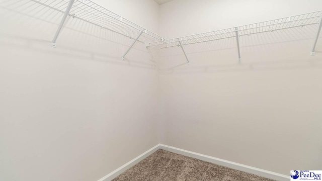 593 Strawberry Field Way, Galivants Ferry, SC 29544 - spacious closet featuring carpet floors