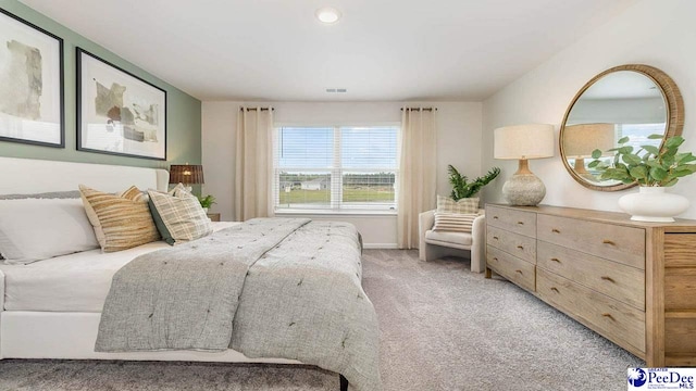 593 Strawberry Field Way, Galivants Ferry, SC 29544 - bedroom with light colored carpet and baseboards