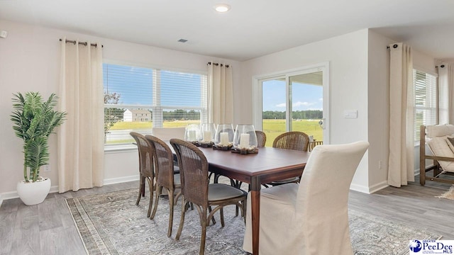 593 Strawberry Field Way, Galivants Ferry, SC 29544 - dining room featuring plenty of natural light, light wood-style flooring, and baseboards