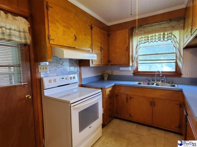 2208 S Robeson Ave, Florence, SC 29505 - photo 12