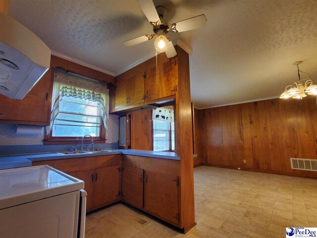 2208 S Robeson Ave, Florence, SC 29505 - photo 13