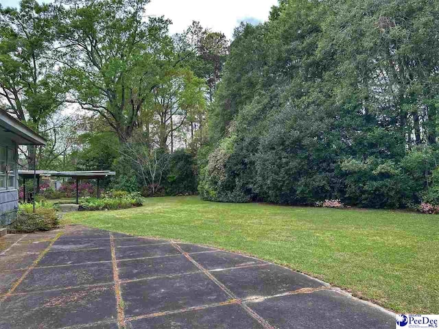 view of yard with a patio area