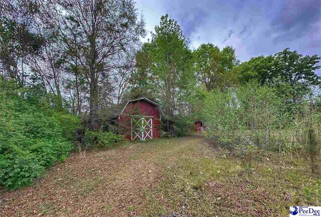 view of yard featuring a storage shed