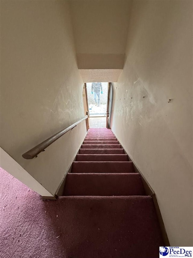 staircase featuring carpet floors