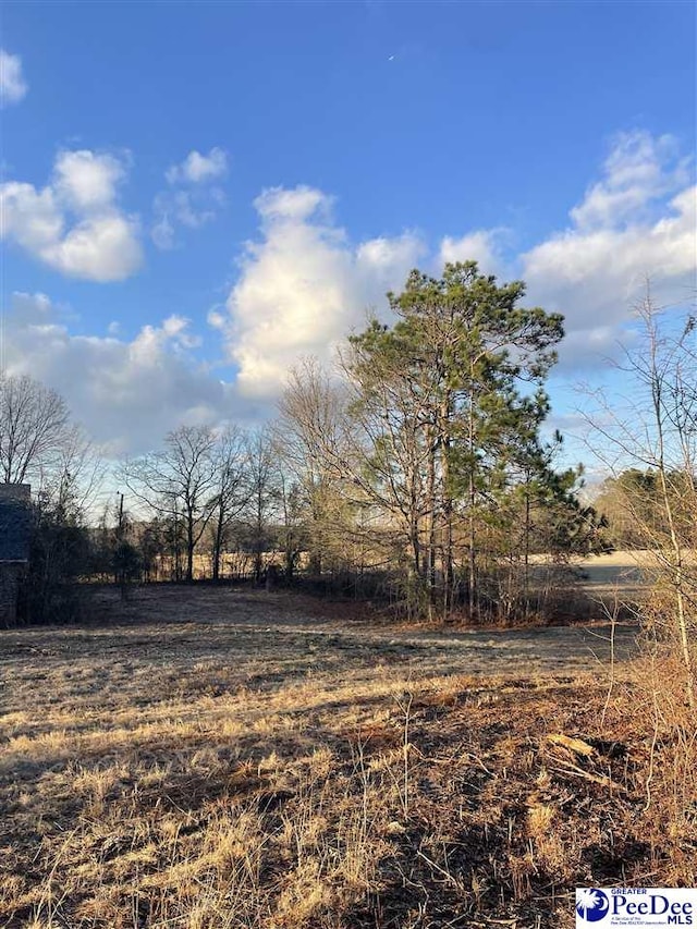 view of yard with a rural view