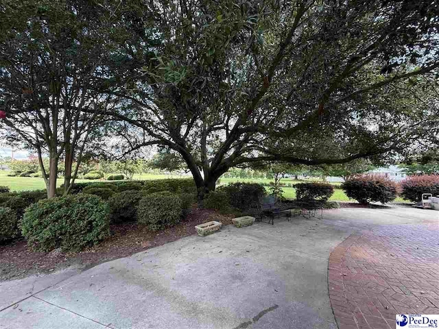 318 Scotland Rd, Lake City, SC 29560 - photo 66