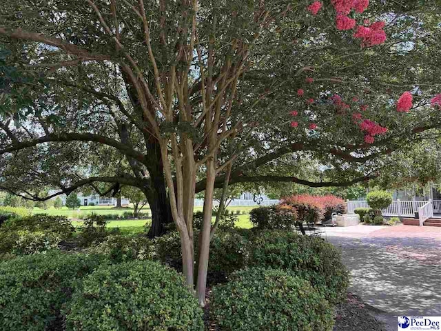 318 Scotland Rd, Lake City, SC 29560 - photo 65