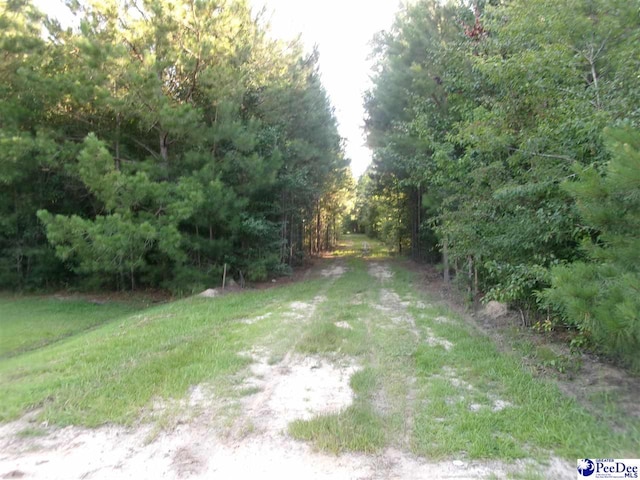 TBD Martin Luther King Dr, Marion, SC 29571 - photo 3