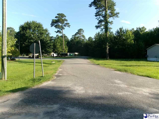 TBD Martin Luther King Dr, Marion, SC 29571 - photo 2