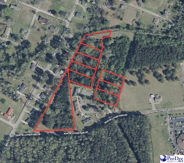 TBD Martin Luther King Dr, Marion, SC 29571 - photo 1
