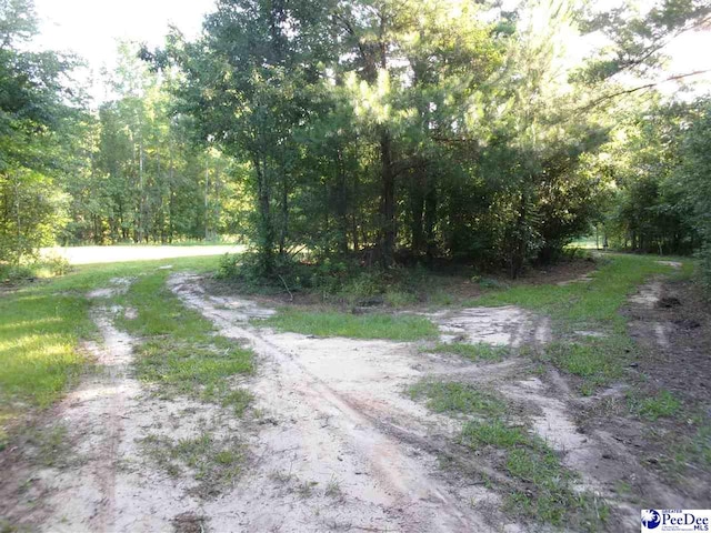 TBD Martin Luther King Dr, Marion, SC 29571 - photo 6