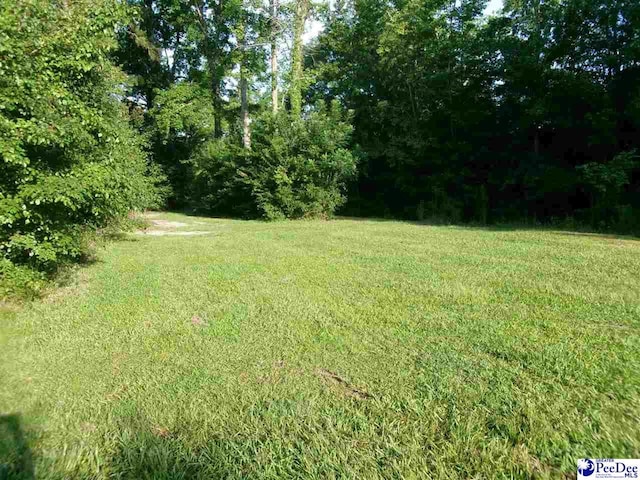 TBD Martin Luther King Dr, Marion, SC 29571 - photo 4