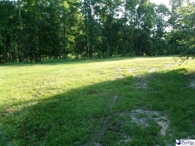TBD Martin Luther King Dr, Marion, SC 29571 - photo 5