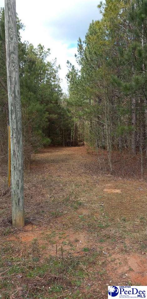 Listing photo 3 for TBD Hannah Pond Rd, Mcbee SC 29101