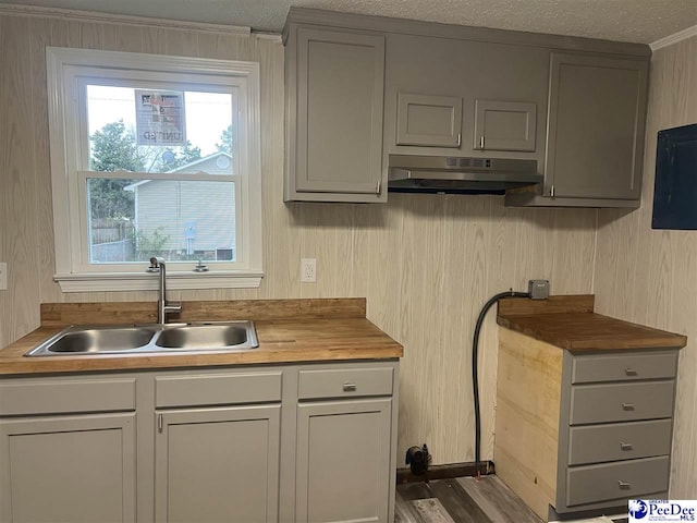 kitchen with under cabinet range hood, a textured ceiling, gray cabinetry, and a sink