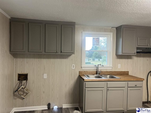 kitchen with baseboards, under cabinet range hood, gray cabinets, a textured ceiling, and a sink