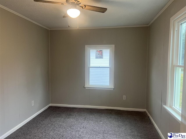 spare room with a wealth of natural light, a textured ceiling, carpet flooring, and crown molding