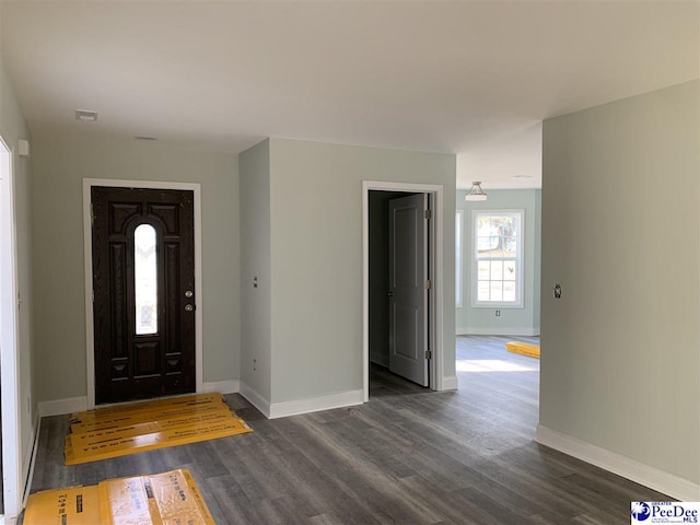 entryway featuring dark wood-type flooring