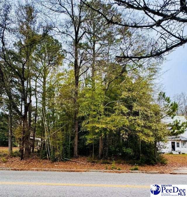 Listing photo 3 for 903 W Market St, Bennettsville SC 29512