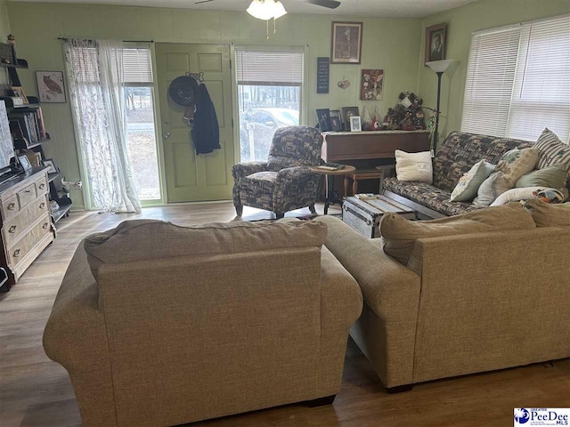 living room with ceiling fan and hardwood / wood-style floors