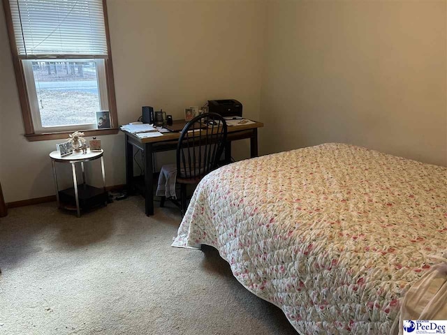 view of carpeted bedroom