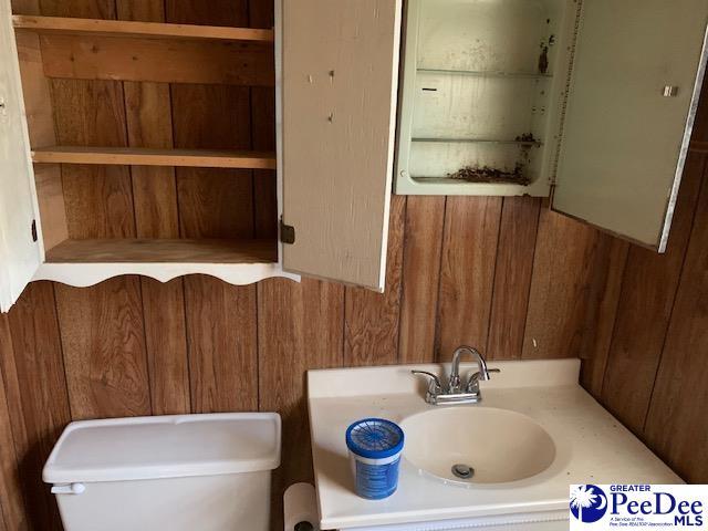 bathroom featuring toilet, sink, and wood walls