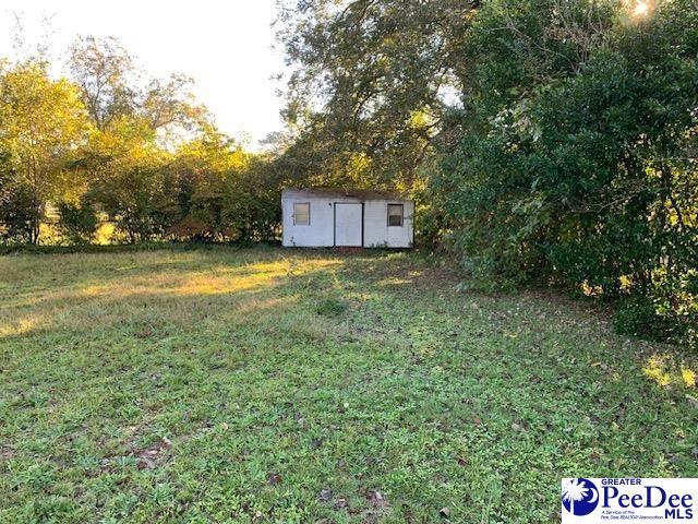 view of yard with a storage shed